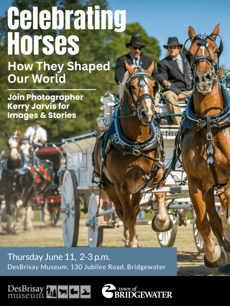 Celebrating Horses: How They Shaped our World