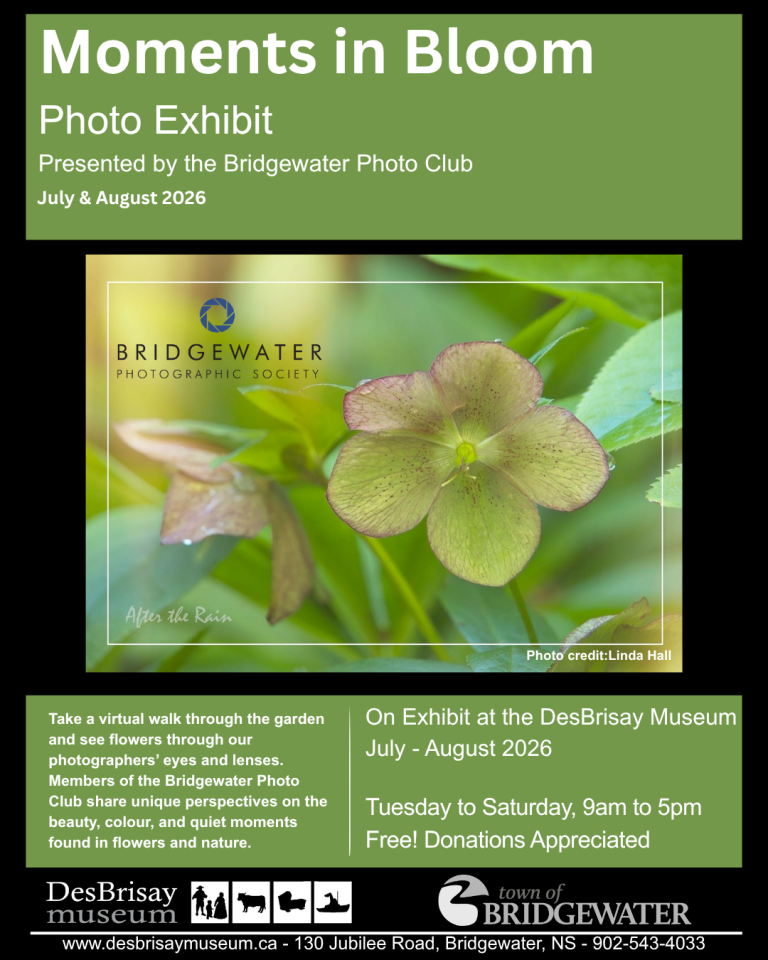 Moments in bloom: Photo exhibition