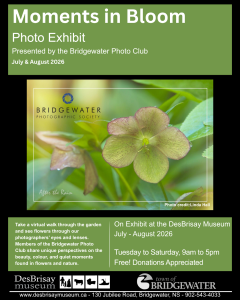 Moments in bloom: Photo Exhibit
