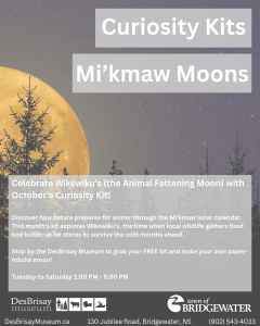 October’s Curiosity Kit!