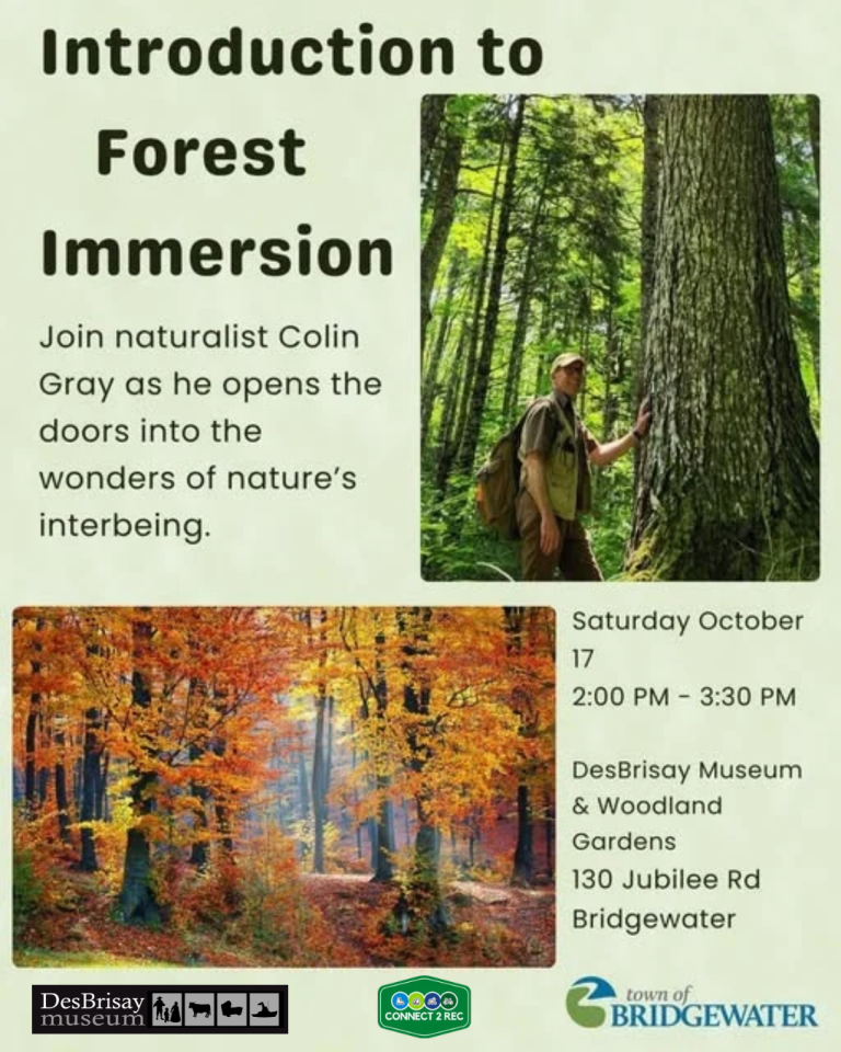 Introduction to Forest Immersion